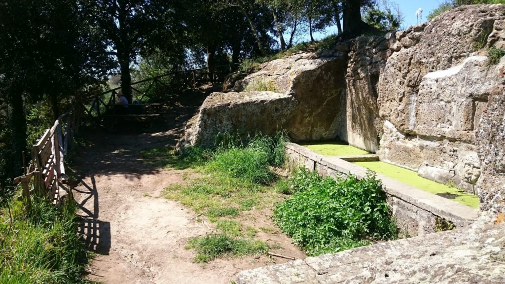 Der Brunnen Fontana dell'Olmo.